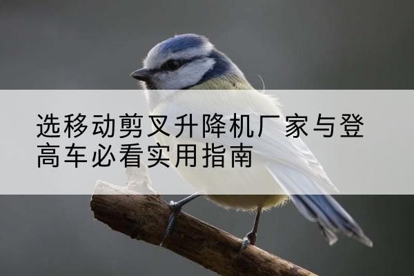 乐至电动升降机厂家-选移动剪叉升降机厂家与登高车必看实用指南