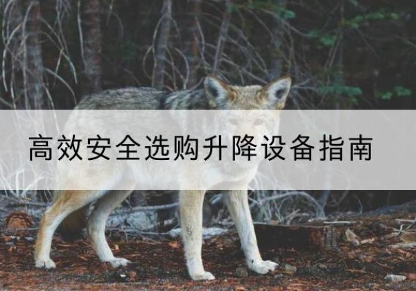 乐至升降货梯厂家推荐-*安全选购升降设备指南