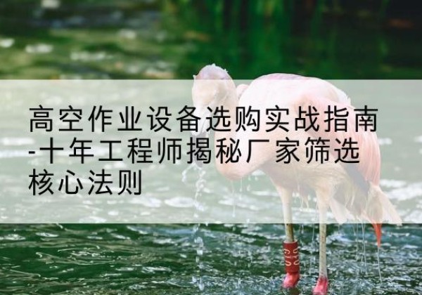 乐至剪叉式升降机厂家-高空作业设备选购实战指南-十年工程师揭秘厂家筛选核心法则